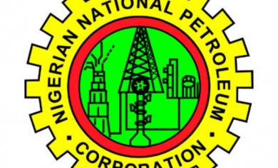Read more about the article DPR seals four petrol stations in Abuja